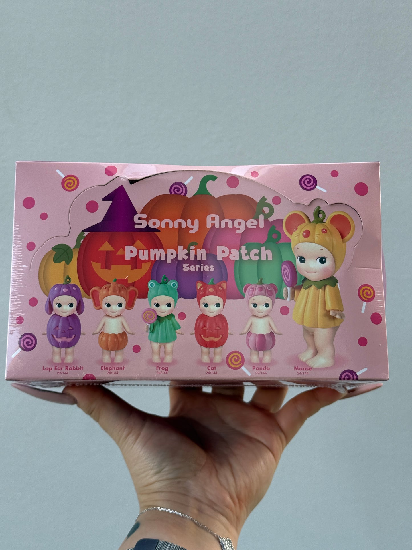 Sonny Angel Pumpkin Patch Series