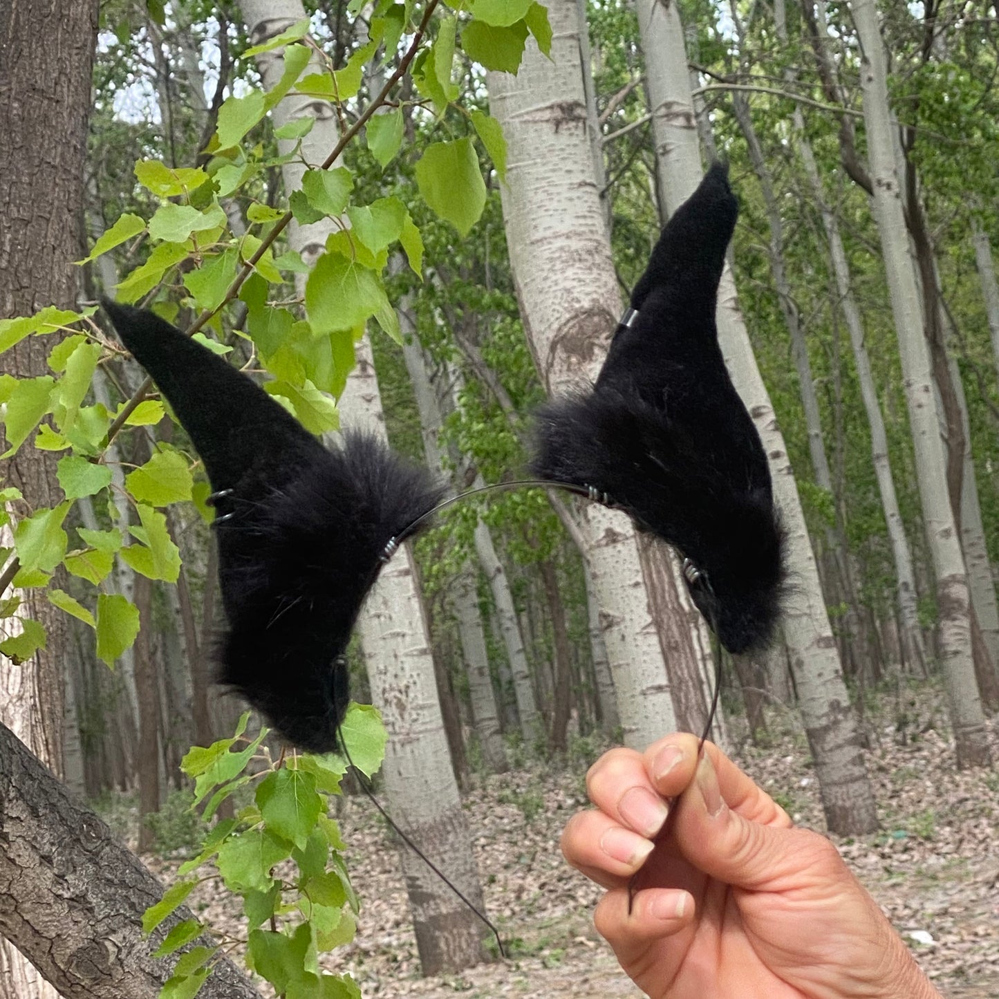 Titan the Dobermann Faux Fur Animal Ears Kemonomimi