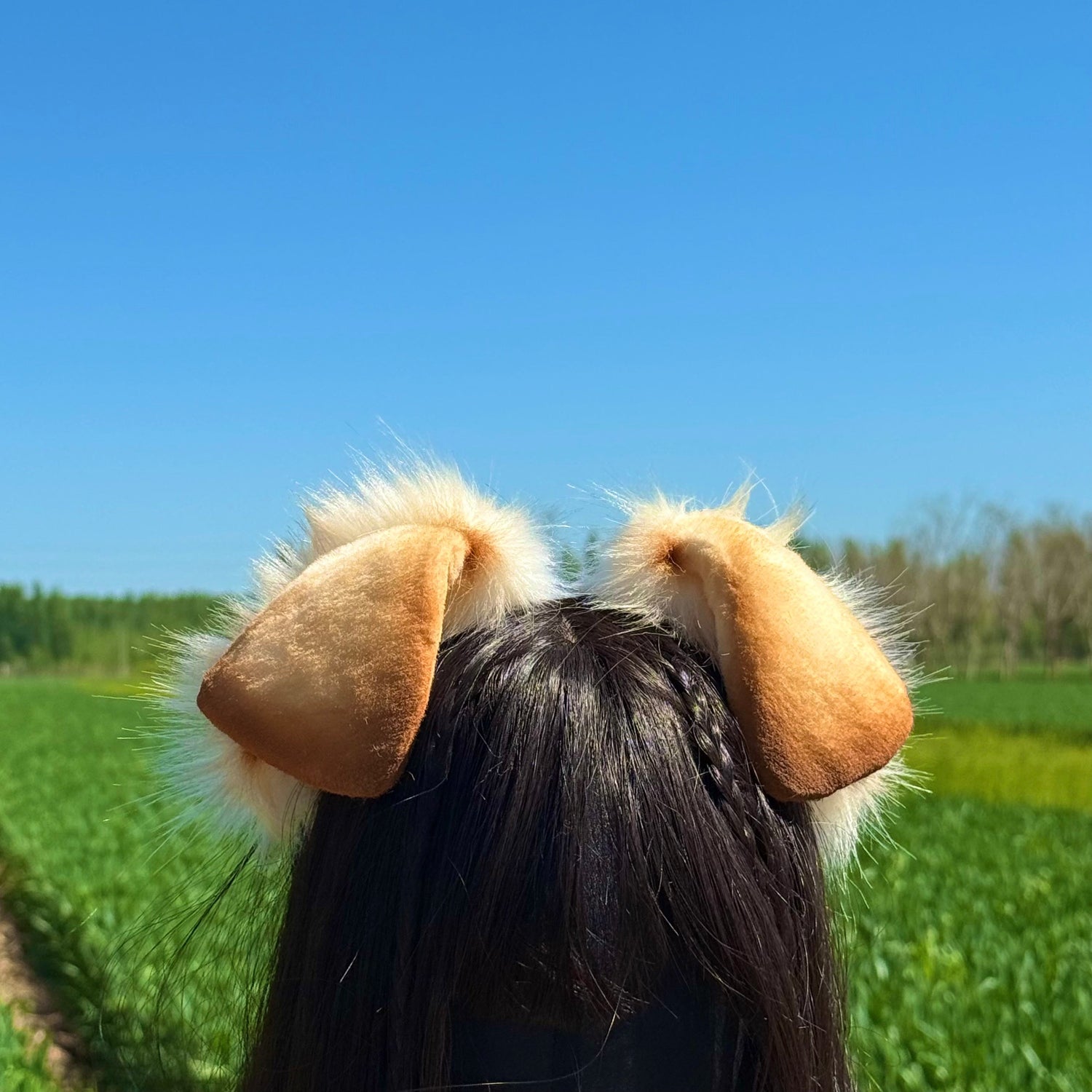 Puppy Ears