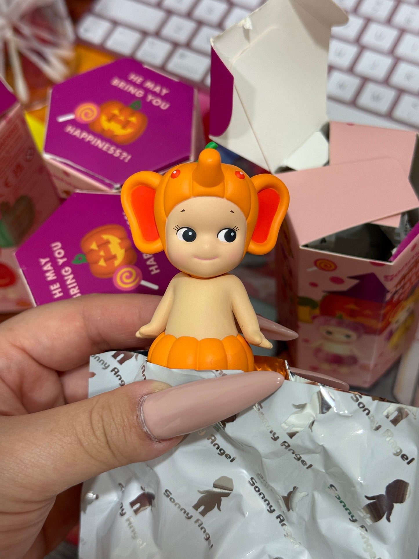 Sonny Angel Pumpkin Patch Series