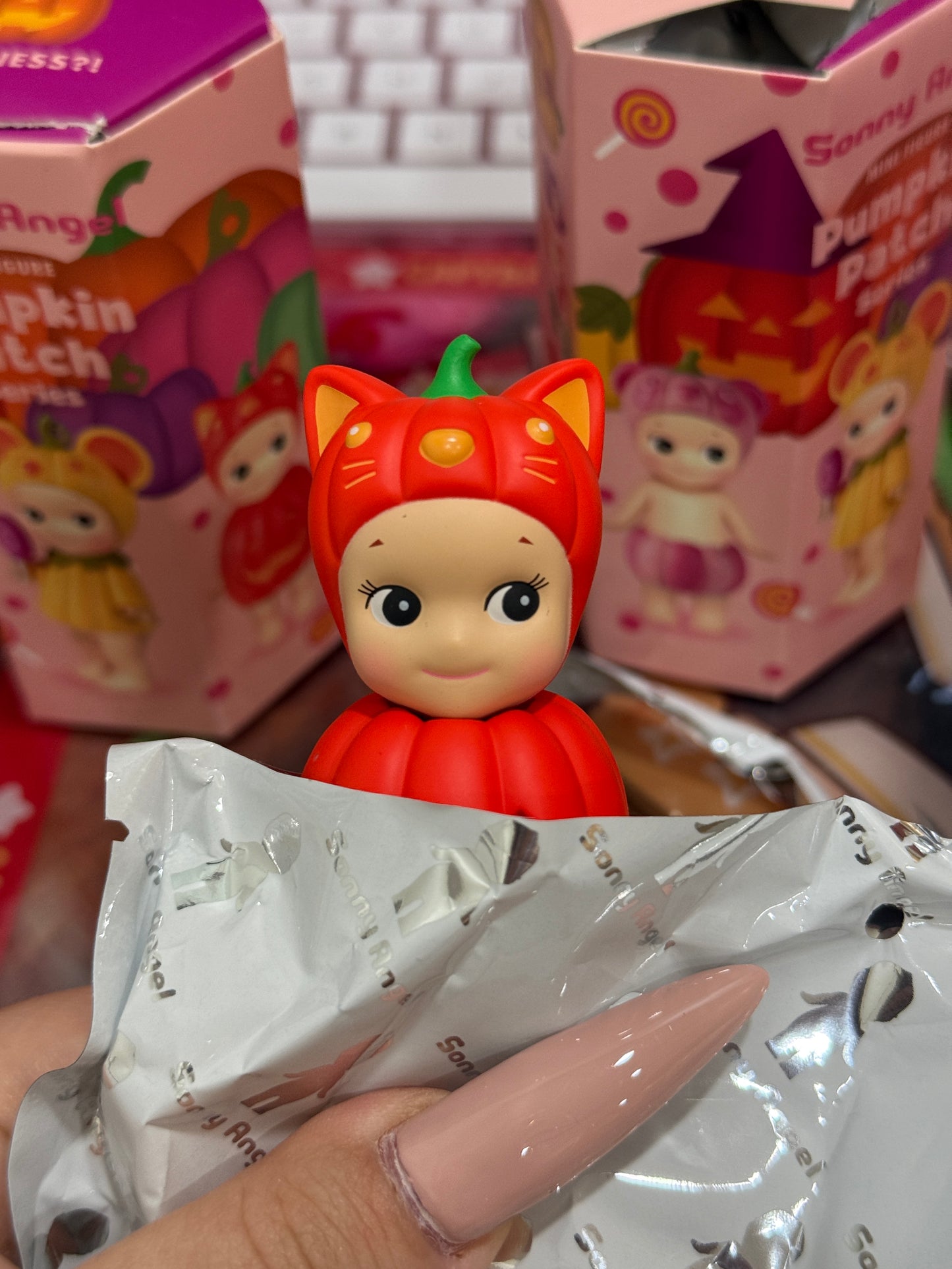 Sonny Angel Pumpkin Patch Series