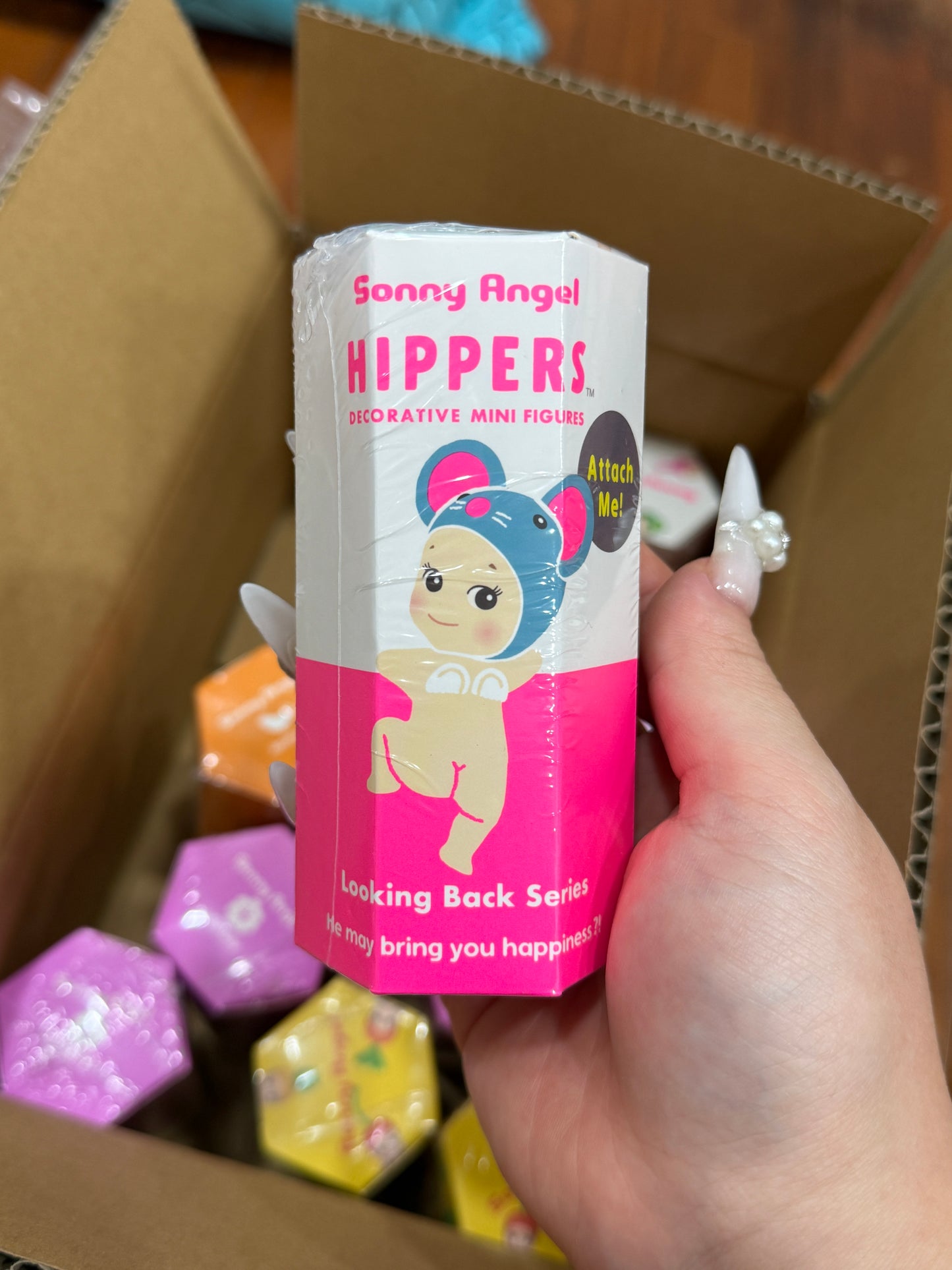 Sonny Angel HIPPERS Looking Back Series