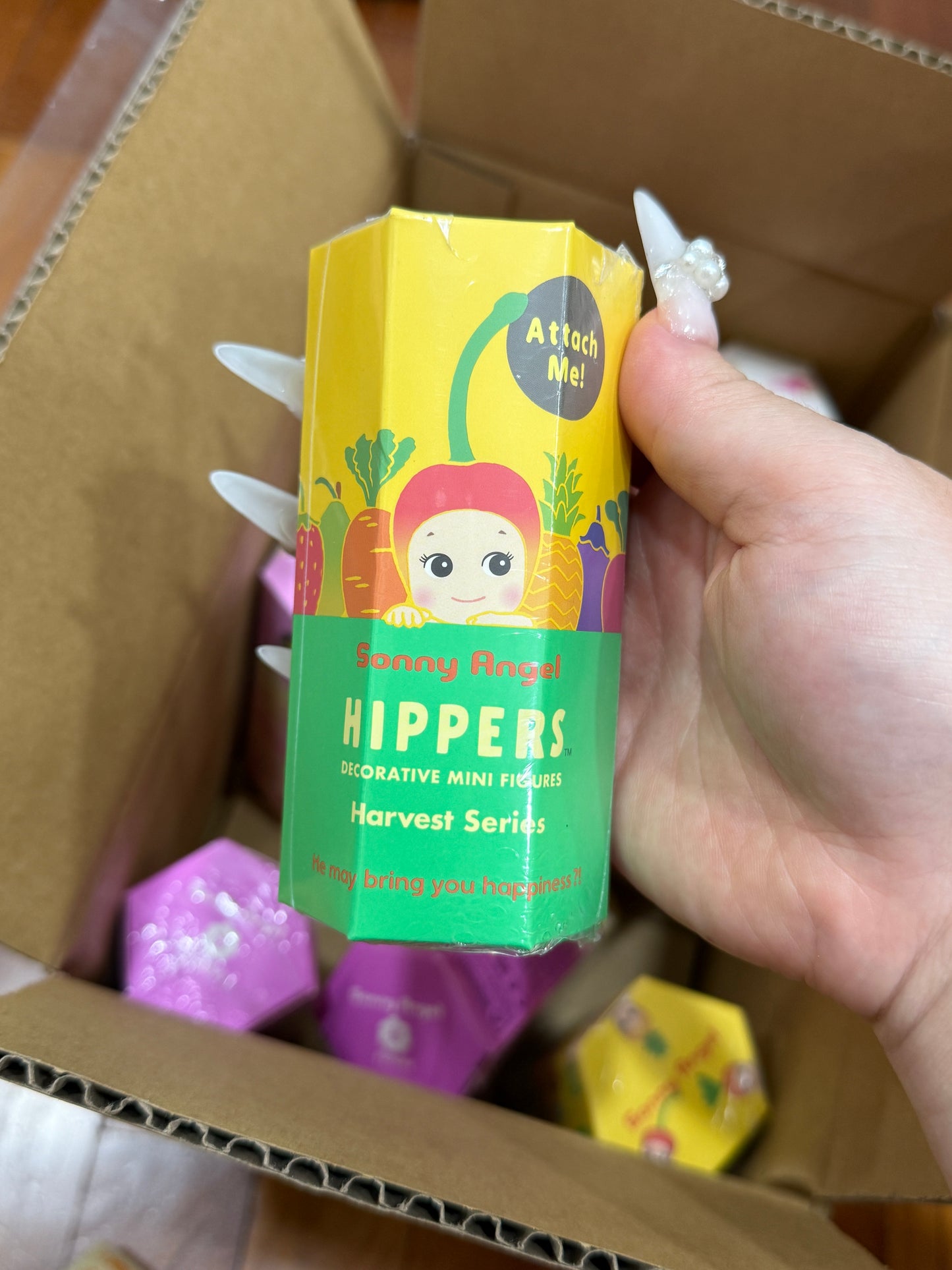Sonny Angel HIPPERS Harvest Series