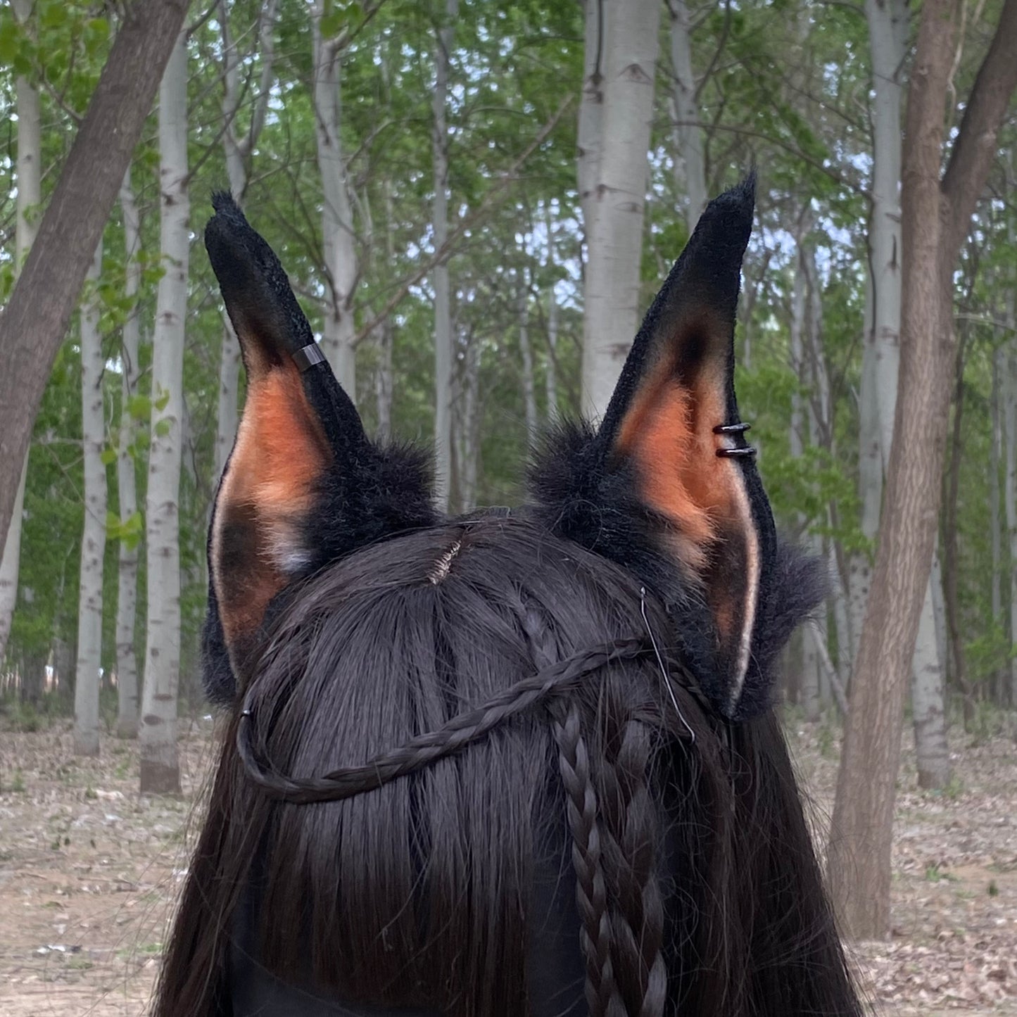 Titan the Dobermann Faux Fur Animal Ears Kemonomimi